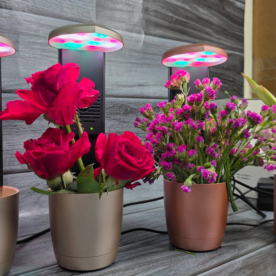 Full Spectrum LED Grow Lamp With Bluetooth Speaker & Plant Fan For Indoor or Office