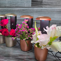 Full Spectrum LED Grow Lamp With Bluetooth Speaker & Plant Fan For Indoor or Office