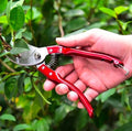 Multifunctional Premium Quality Cutter