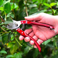 Multifunctional Premium Quality Cutter