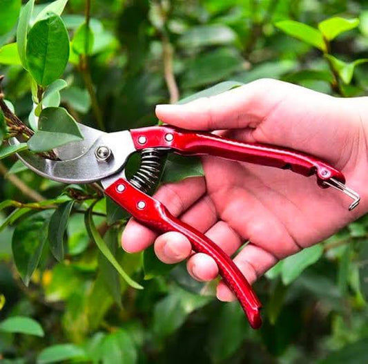Multifunctional Premium Quality Cutter